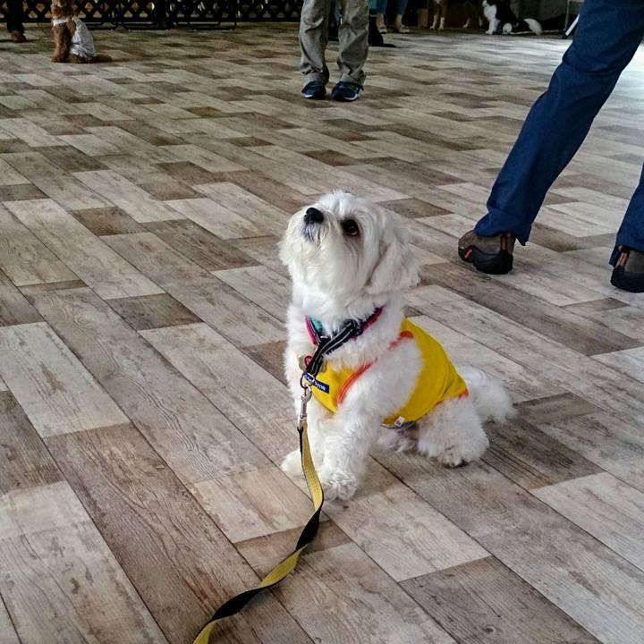 B2876536 2cf8 4e1f 909c 5f4144d9f1b0