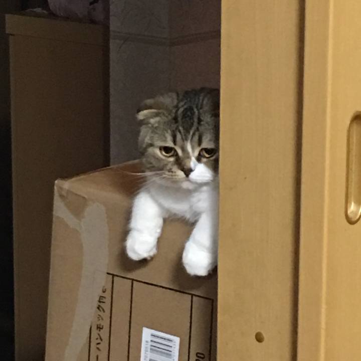 B288ebb3 505a 4f77 8108 ba1ca7c442db