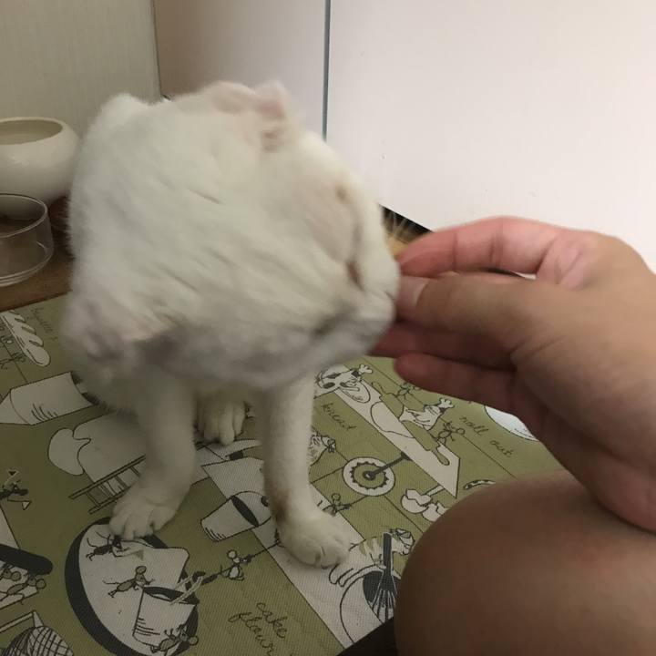 B288edca a6e6 4c25 9d73 ca8783a31198