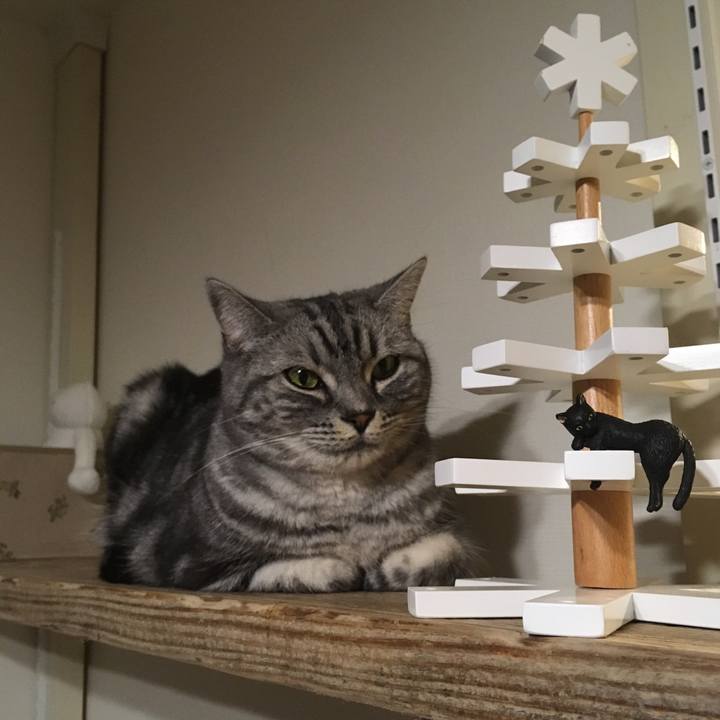 B2892a63 f35a 450e b2ef 75c5380f47dc