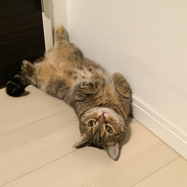 B28940cc 6cec 4eb0 bd38 ee99815fa651