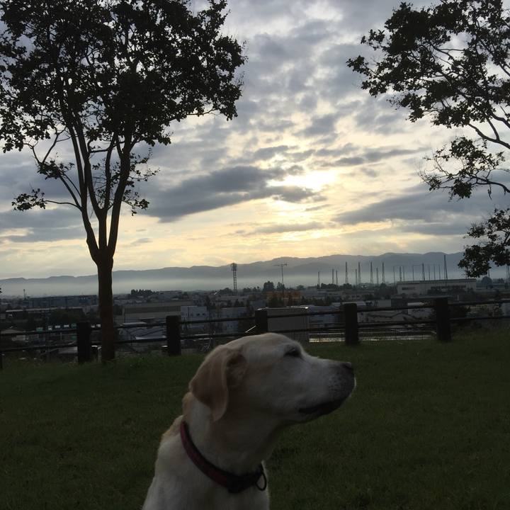 B28985e2 72aa 4a82 bbdc e1f444ef6111