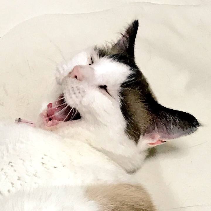 B289b3ee 2349 44af ad69 e10fdc012eec