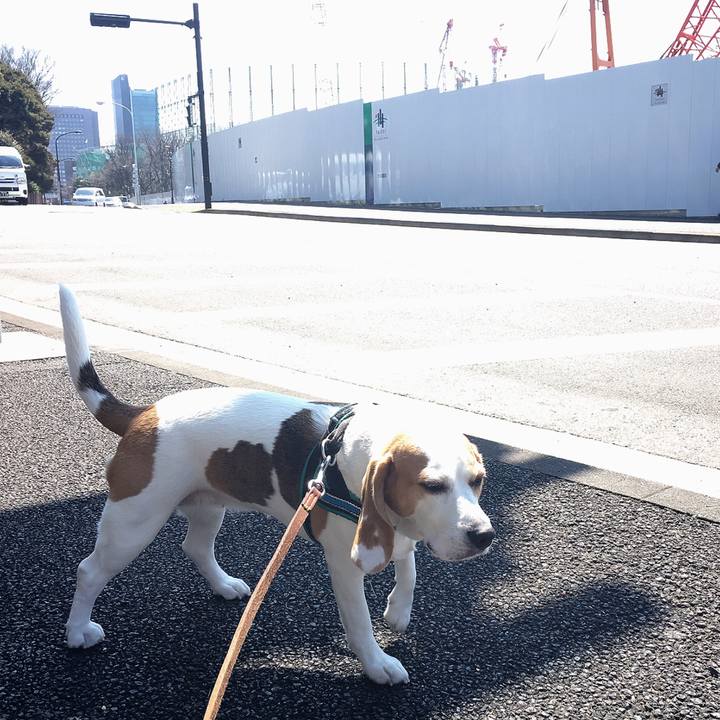 B289c91f d225 4826 89e2 c92ae6cfdc46