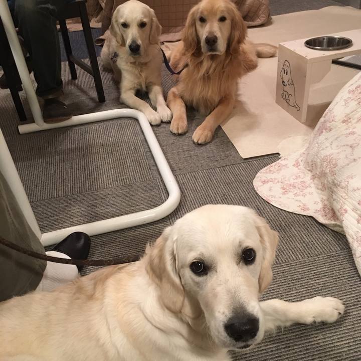 B289d927 61b6 45ed 9bf0 8ac1e1d50690