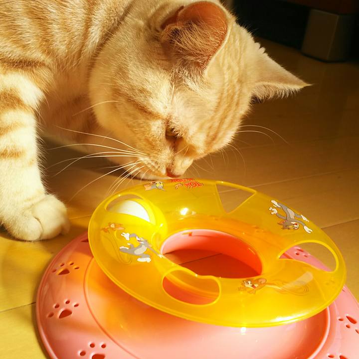 B28a539f 126a 4cd0 a90c 3b7fe2931d80