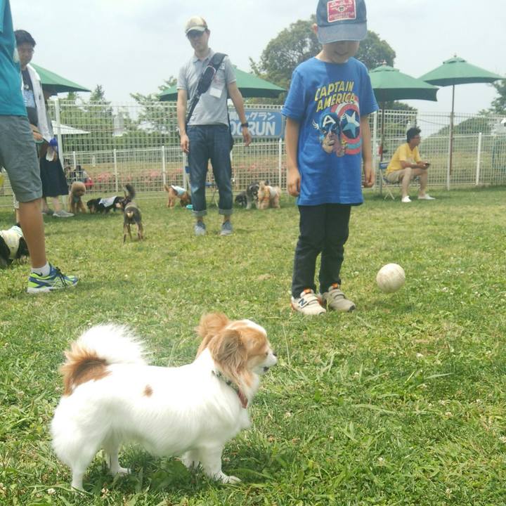 B28a5f51 4615 4fd5 a9dd 7799e6172bf5