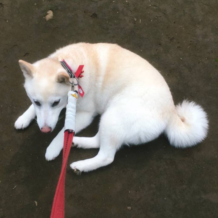 B28aa576 9bd4 410d b659 e67ceb4ae206