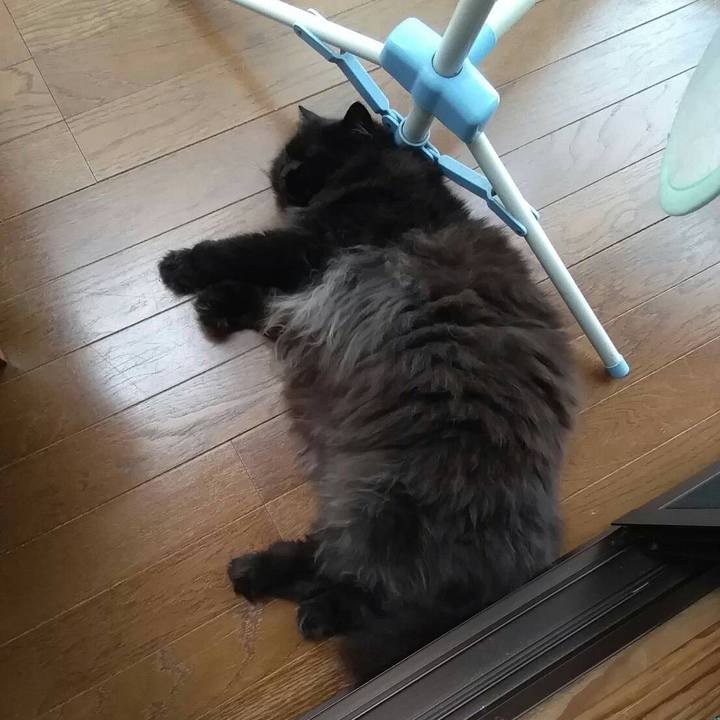 B28aacce ab32 44aa ba12 188b6716ffeb