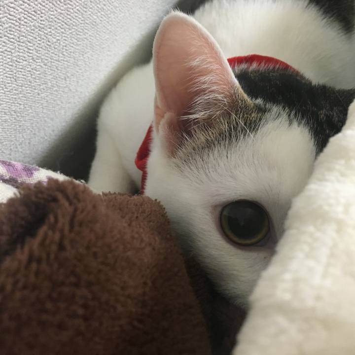 B28b0f62 ac42 40f1 8bdb 7baebe01b826