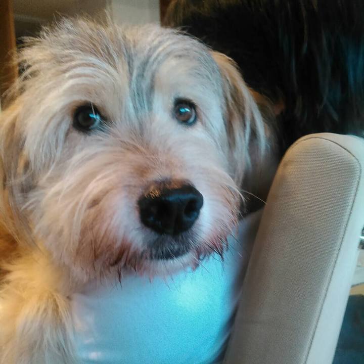 B28ba1e6 f89c 4c50 8e21 ee542878bbb5