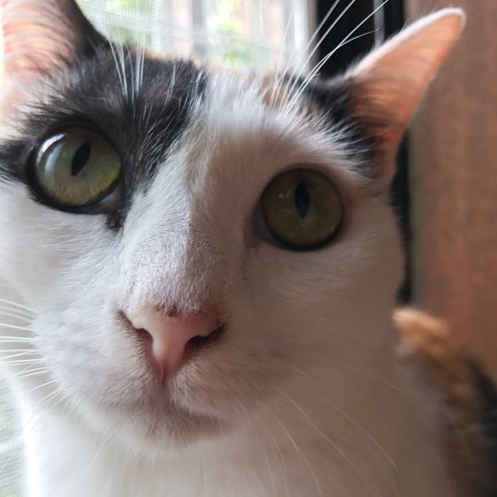 B28c3e0e fcba 4c2b b901 f312957fef54