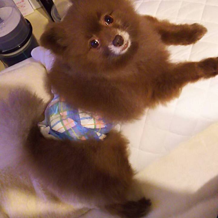 B28cf025 9d75 4582 b574 2c91f11ff35c