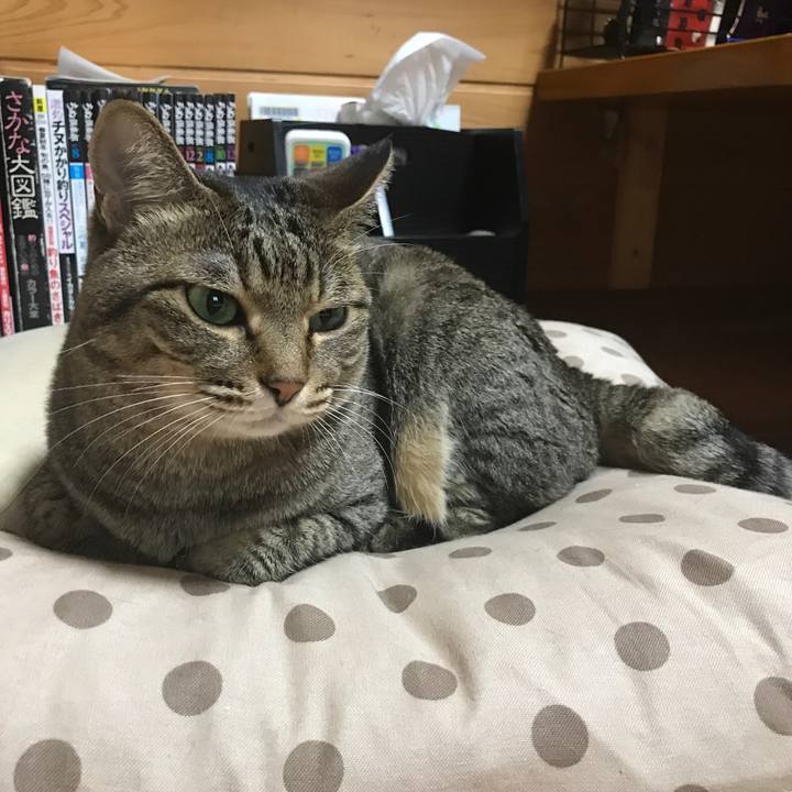 B28cfc7a eec8 4903 83f1 2eb457f37f44