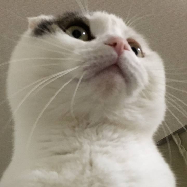 B28d0deb 710b 4e6d b71b 4a64f51b39d6