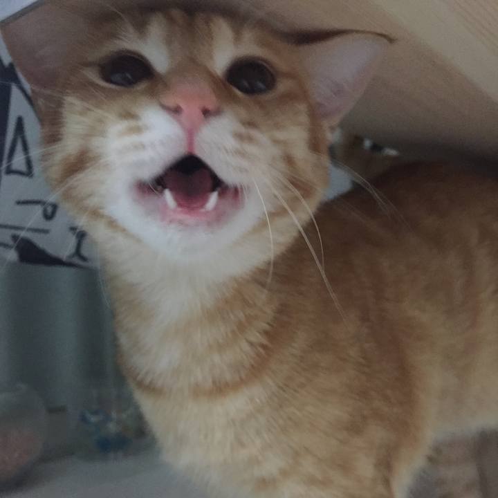 B28d48b6 c3ee 43f5 bcdd 8f3650da0e01