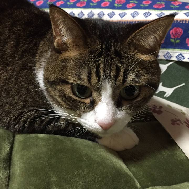 B28d6a3c 4f6f 4a75 aeec 2fa182671beb