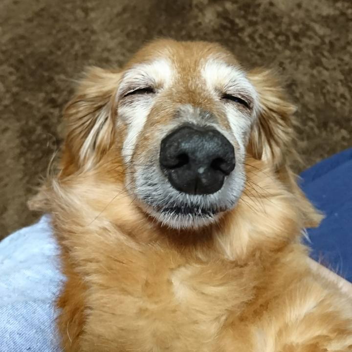 B28d9c6c 6766 40d2 a372 d3705512a788