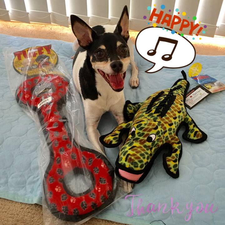 B28d9e55 b1e2 40c3 90a0 e1c7b99e934f