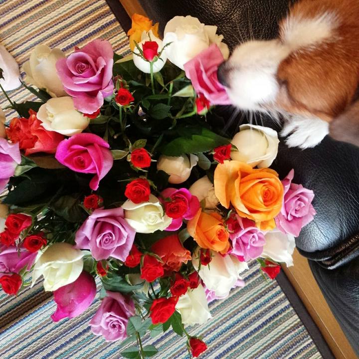 B28dac2c 5fc2 4deb bd95 2f1dbaa1529c