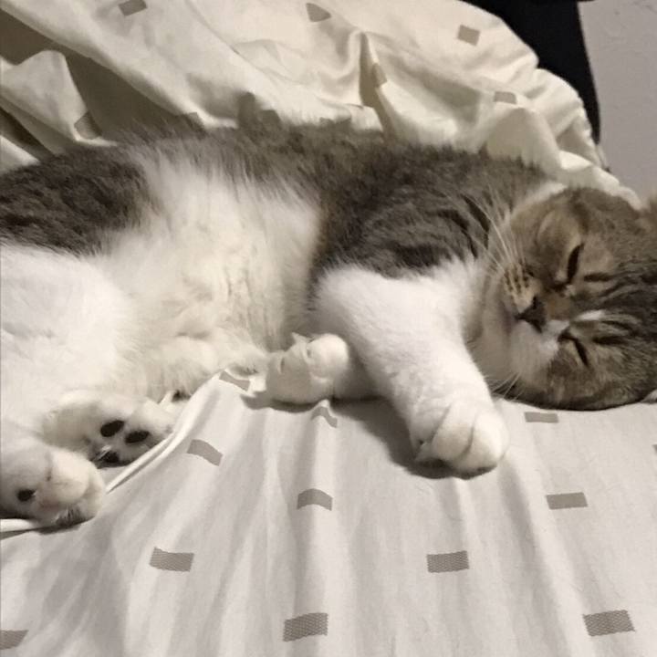 B28db389 3728 4db2 a9fc d8c69a48cb89