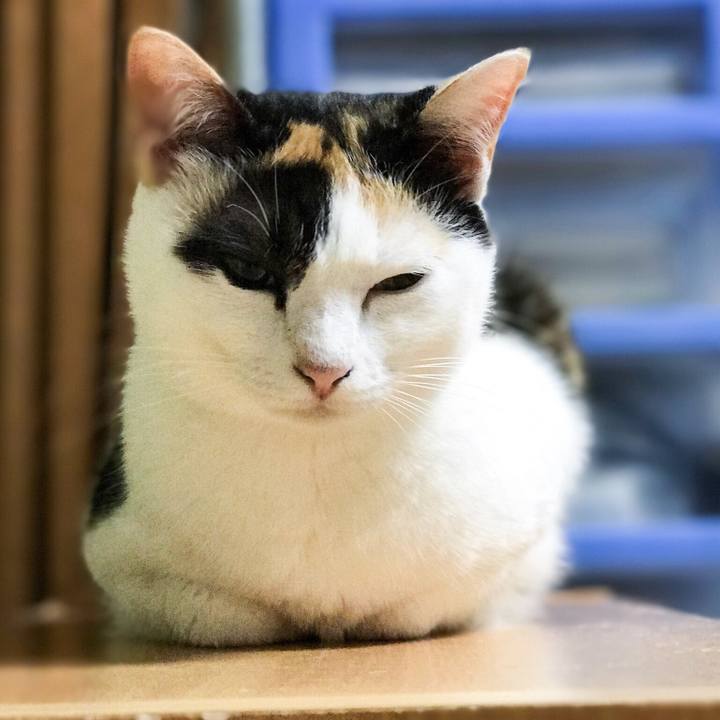 B28dedee d783 4f88 948d 7297e59439c9