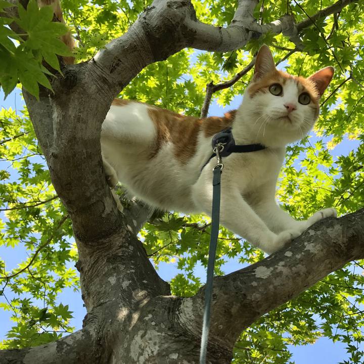 B28dfaa2 d98e 4746 862b d21068810f9a