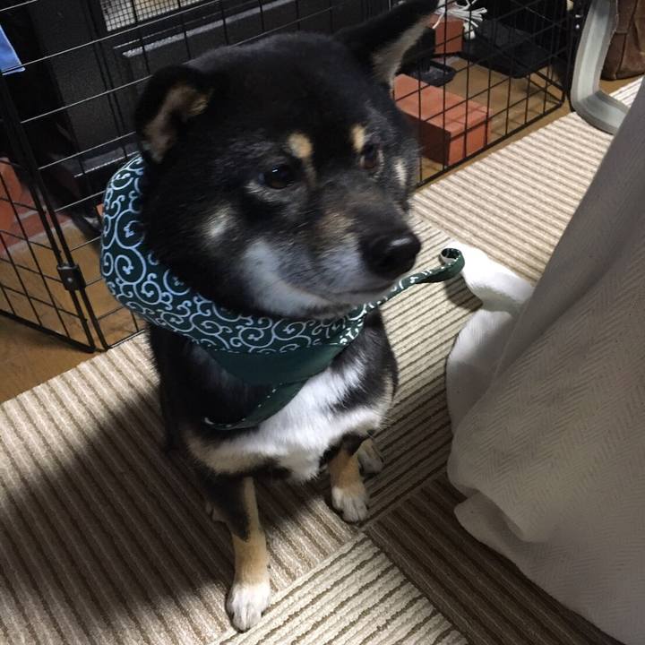 B28e7718 50e0 4a2b b392 dabe7303a890