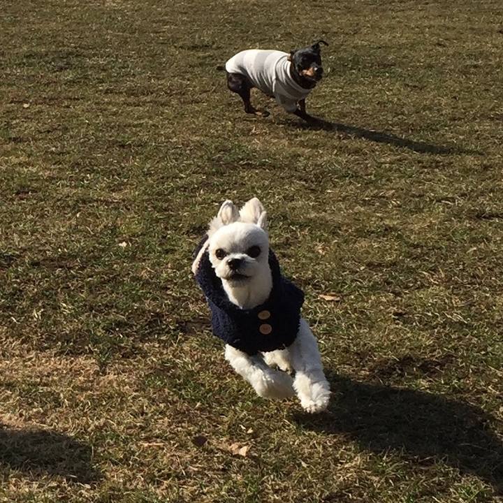 B28ed0ea b593 4584 adf0 2aafe05fd0e8