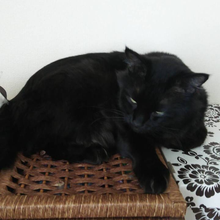 B28f25c9 8d45 4b78 98d4 856f047da505