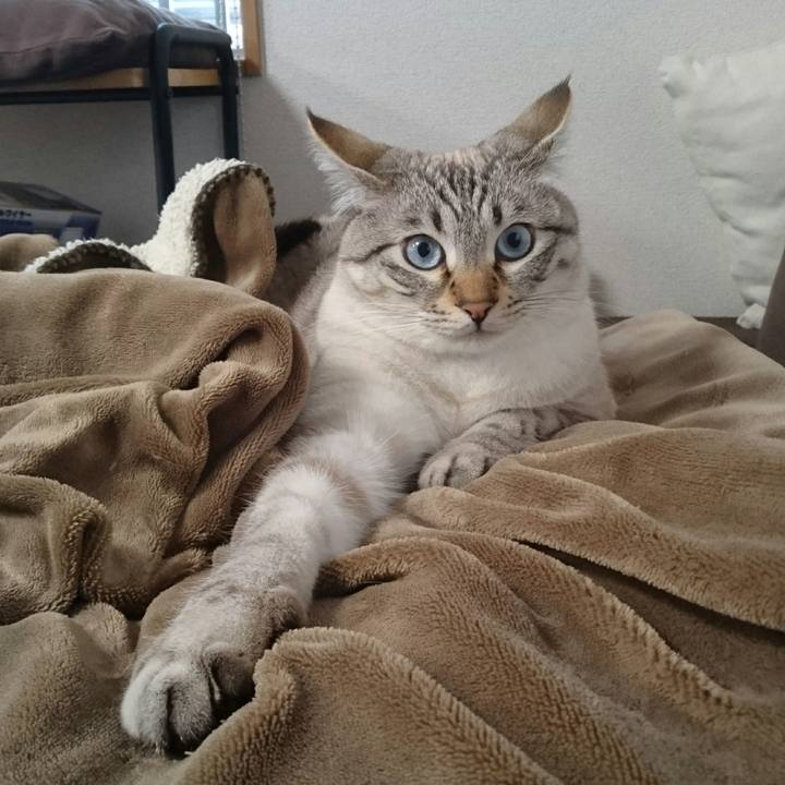 B28f3e3a 9ea9 48cd ad29 a6ccdc59182b