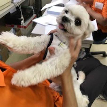 B28f804f 0ee2 4043 8f32 07217b89f6fb