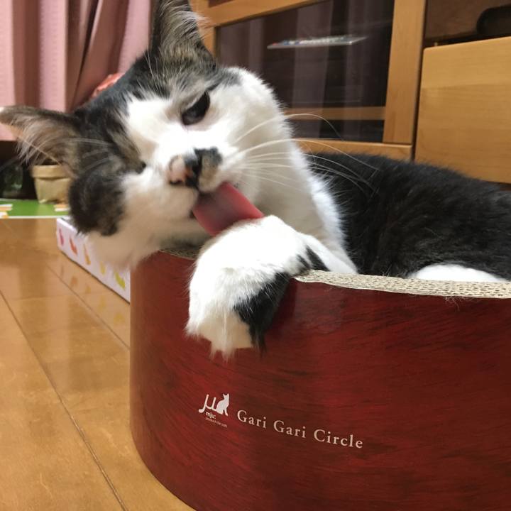 B29039bc 00f8 4b26 99ee 4877acee4846