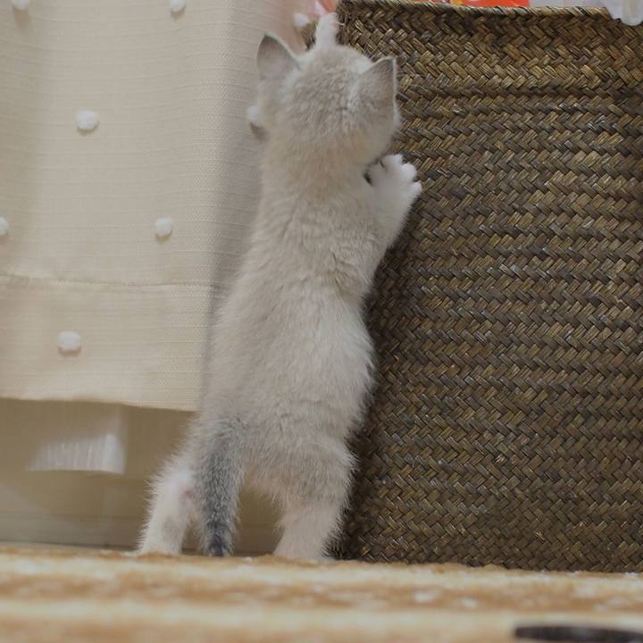 B2909444 3392 4bda a77b 26376f52cf72