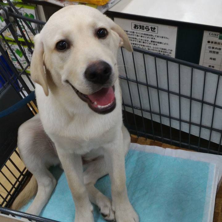 B290d09a 1000 4475 baf4 dfd352f01510