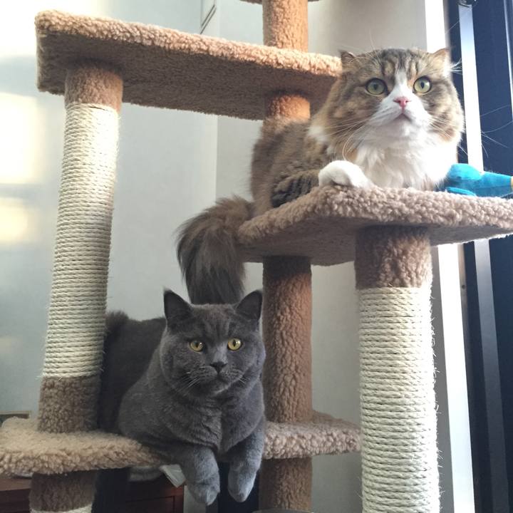 B29109fb a7c9 42df 94c2 e31728a71f31