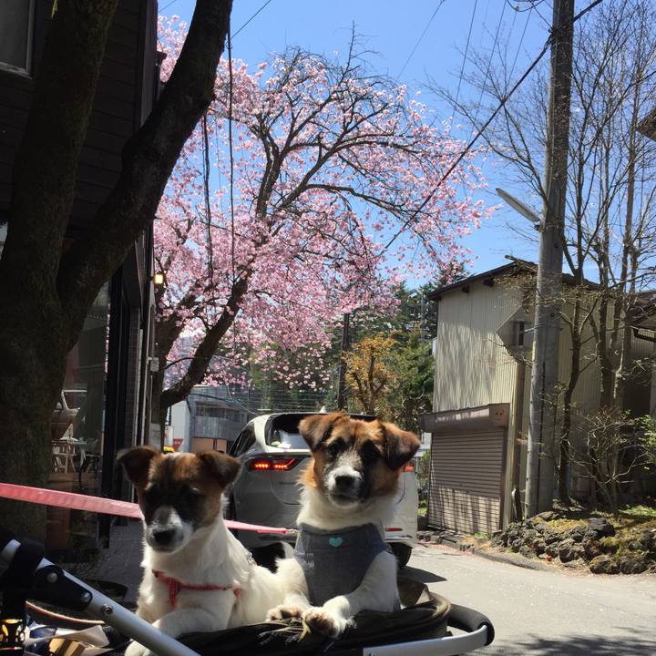 B2918697 b30e 4bdf 8ce4 2553bd1d0009