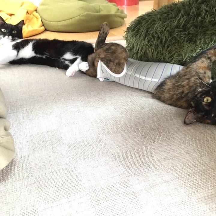 B291891d 005f 486b b209 8144ea745f4a