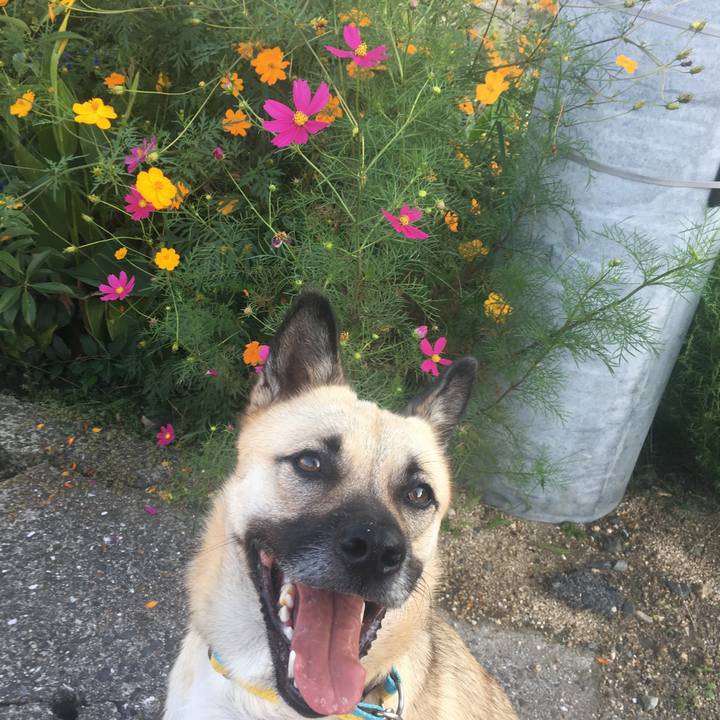 B29290b8 c921 4c4f a1f6 4f9ab1fdb874