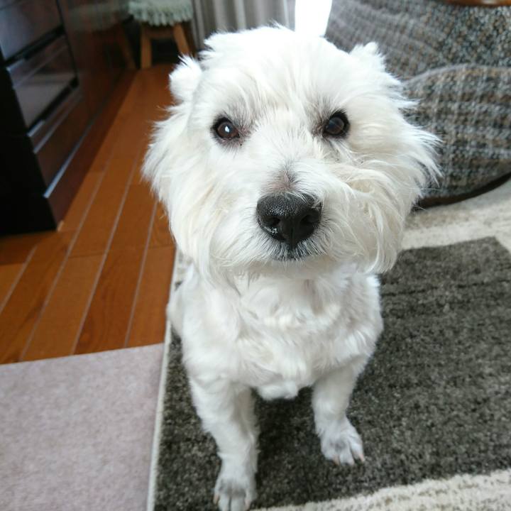 B292a5d6 dc86 4cba a96d a164e2ceb3cf