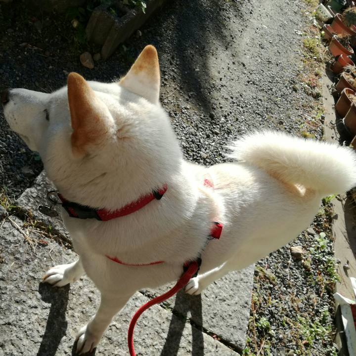 B292c6a7 e110 4afb be0b 6a7e4b427663