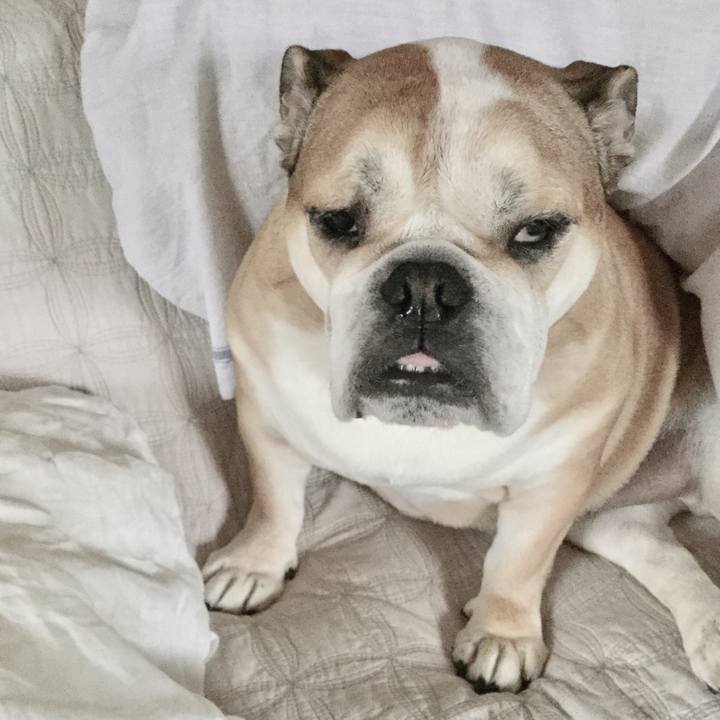 B292d06f f84c 4a59 8712 d9382f91d5d8