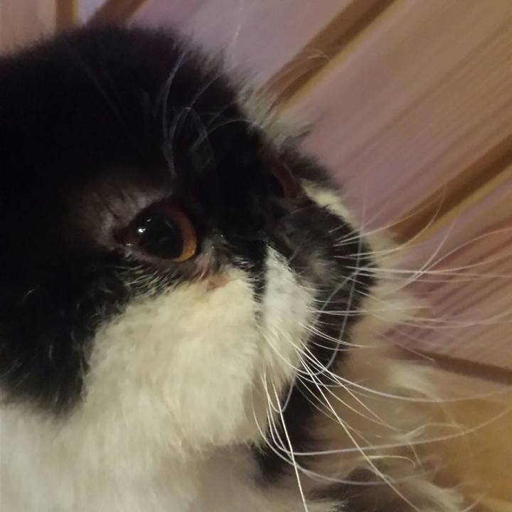 B2938d16 f597 44b7 ac39 7152c87d604b