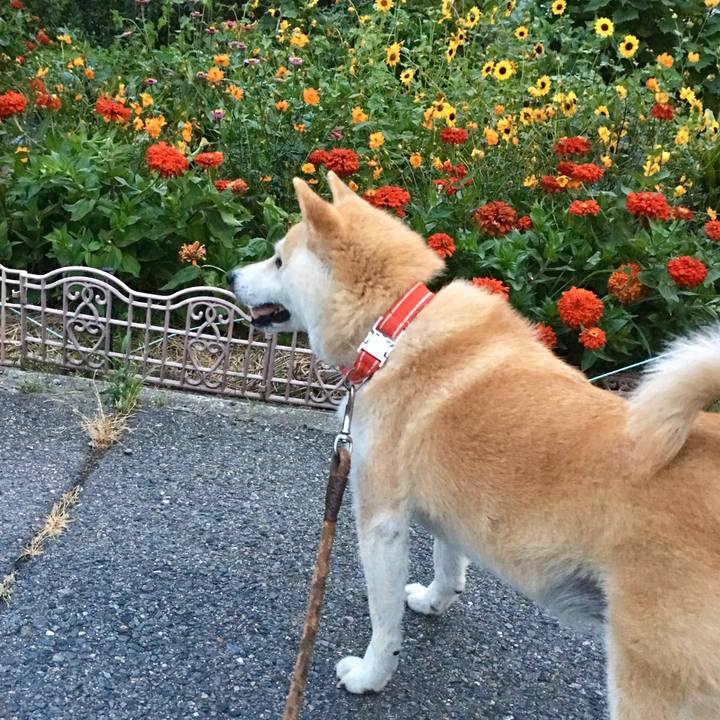 B293bec4 ef9c 4065 89a0 56913cc79a65