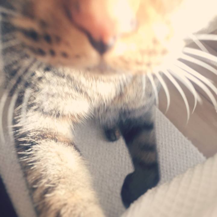 B2942765 97e4 4ecc b1c3 fd1f4e8ae20c