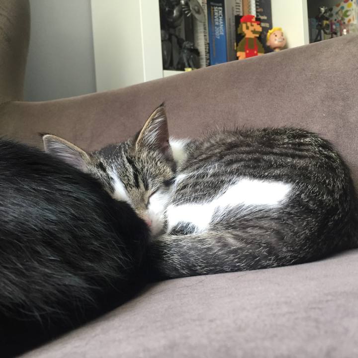 B294488f af4c 4a5e 9f74 1dceda3bbb12