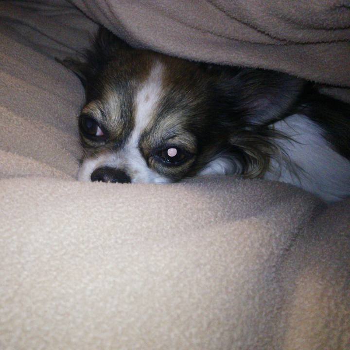 B29452b8 6eed 4788 b16c a5565757ca1c