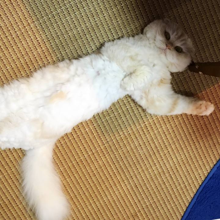 B29475fe e115 4c52 9320 e5d690c7d9f8