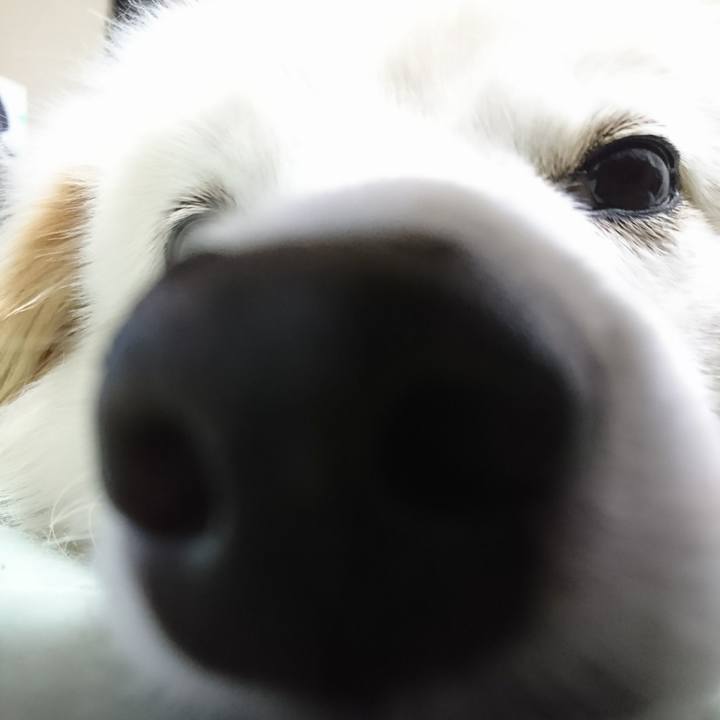 B2951967 878c 4cfe a34d 7a88fbb8e0df