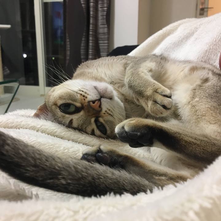 B295d6f5 21b9 493d 99e2 7cae03c83e14